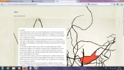 breed.webp