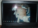 laptop.webp laptop.webp
