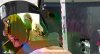 narutoshippuudenmovie5b.jpg