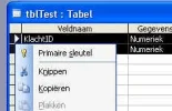 voorbeeld.webp