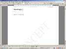 naamloos.webp