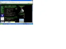naamloos.webp