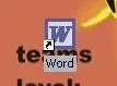 word icoon.webp