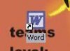 word icoon.jpg