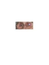 bril.webp