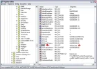 shell.webp