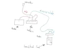 schema.webp