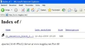 prtscreenss.webp