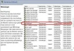 snag-0003 (wince).webp