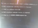 WP_002072.webp