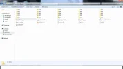 virus.webp