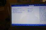 242.webp