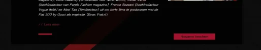 FireShot Screen Capture #114 - '» Nieuws' - localhost_wordpress_nieuws_page_2.webp