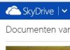 Skydrive1.JPG