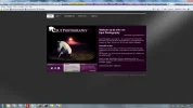 voorbeeld2.webp