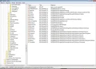 Printscreen Regedit.webp