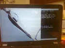 now=1350822992548.webp now=1350822992548.webp