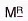 meester.webp