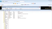 printscreen 1.webp