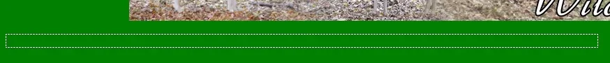 site vraag.webp