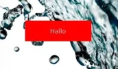 Knipsel.webp