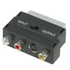 SCART_56.webp