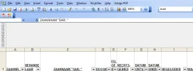 screenshot excel.webp
