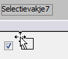 Selectievakje 2.png