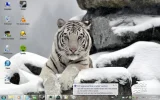 usb 1.webp