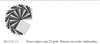 Screen Shot 2012-12-30 at 4.10.48 PM.png