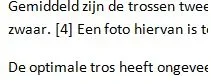 Bron.webp Bron.webp
