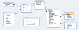 Kartbaan 1.1.webp