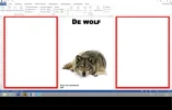 Naamloos-1.webp