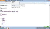 probleem firefox.webp