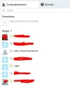 skype voorbeeld.webp