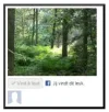 Knipsel.webp