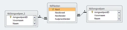 relaties_ledenbestand.webp