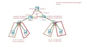 Netwerk.webp