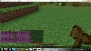 Vraag minecraft.webp
