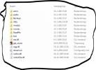 8.webp