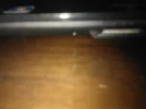 WP_000288.webp