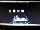 iiyama bij zwart.webp