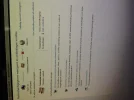 image.webp image.webp