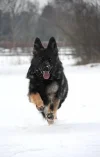 Zoë Running(B) (Medium).webp Zoë Running(B) (Medium).webp