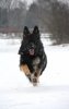 Zoë Running(B) (Medium).jpg