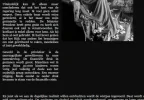 Knipsel 1.webp
