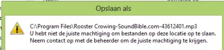 bug.webp