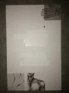 foto(1).webp