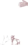 DOC.webp