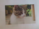 download.webp